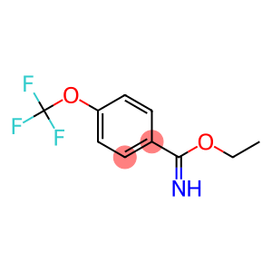 ethyl 4-(trifluoromethoxy)benzoimidate