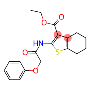 ethyl 2-[(2-phenoxyacetyl)amino]-4,5,6,7-tetrahydrobenzo[b]thiophene-3-carboxylate