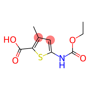 5-[(ethoxycarbonyl)amino]-3-methylthiophene-2-carboxylic acid
