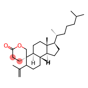 19-Hydroxy-4-methylene-4-methyl-3,4-secocholestan-3-oic acid lactone