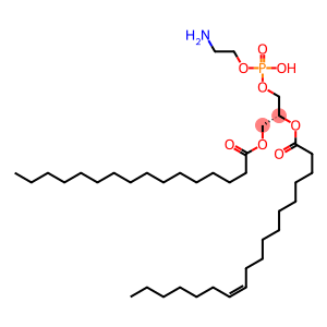 1-hexadecanoyl-2-(11Z-octadecenoyl)-sn-glycero-3-phosphoethanolamine