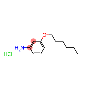 3-(heptyloxy)aniline hydrochloride