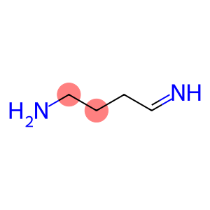 4-Iminobutylamine