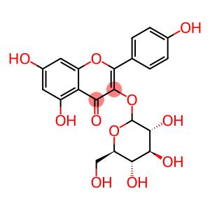 KAEMPFEROL-3-GLUCOSIDE 97 %