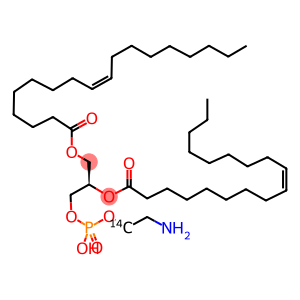 L-3-PHOSPHATIDYL[2-14C]ETHANOLAMINE,1,2-DIOLEOYL