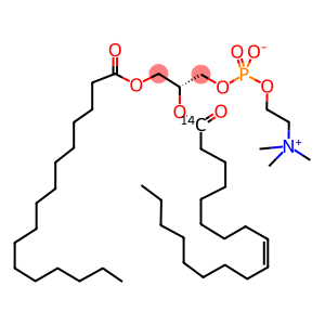 L-3-PHOSPHATIDYLCHOLINE,1-PALMITOYL-2-[1-14C]OLEOYL