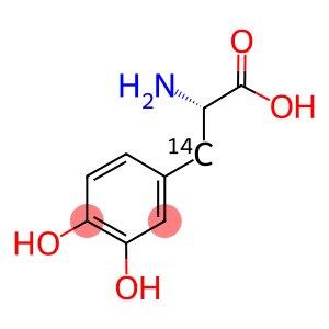L-3,4-DIHYDROXYPHENYL[3-14C]ALANINE