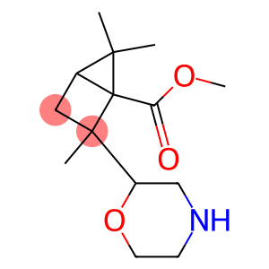 2-Morpholinyl-2,5,5-trimethylbicyclo[2.1.0]pentane-1-carboxylic acid methyl ester