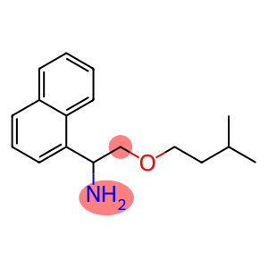 2-(3-methylbutoxy)-1-(naphthalen-1-yl)ethan-1-amine
