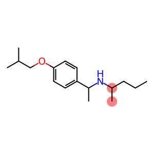 {1-[4-(2-methylpropoxy)phenyl]ethyl}(pentan-2-yl)amine