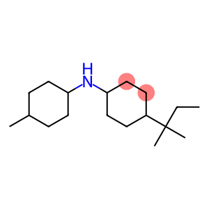 4-(2-methylbutan-2-yl)-N-(4-methylcyclohexyl)cyclohexan-1-amine