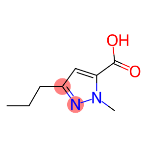 1-Methyl-3-n-Propylpyrazole-5-Carboxylic Acid