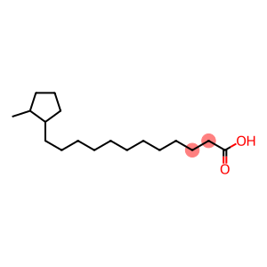 12-(2-Methylcyclopentyl)dodecanoic acid