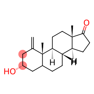 1-Methyleneandrosterone