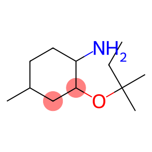 4-methyl-2-[(2-methylbutan-2-yl)oxy]cyclohexan-1-amine