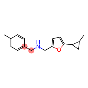 {[5-(2-methylcyclopropyl)furan-2-yl]methyl}[(4-methylphenyl)methyl]amine