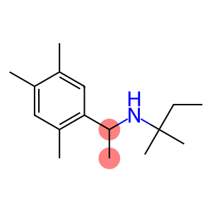 (2-methylbutan-2-yl)[1-(2,4,5-trimethylphenyl)ethyl]amine