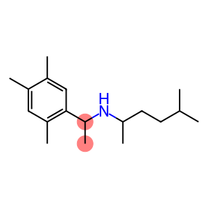 (5-methylhexan-2-yl)[1-(2,4,5-trimethylphenyl)ethyl]amine