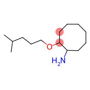 2-[(4-methylpentyl)oxy]cyclooctan-1-amine