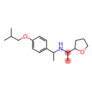 {1-[4-(2-methylpropoxy)phenyl]ethyl}[1-(oxolan-2-yl)ethyl]amine