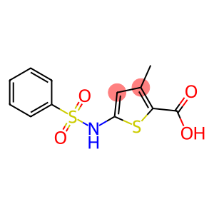 3-methyl-5-[(phenylsulfonyl)amino]thiophene-2-carboxylic acid