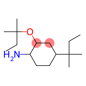 4-(2-methylbutan-2-yl)-2-[(2-methylbutan-2-yl)oxy]cyclohexan-1-amine