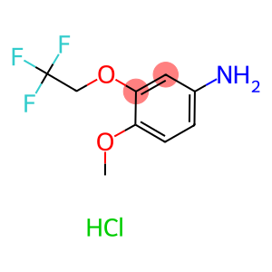 4-methoxy-3-(2,2,2-trifluoroethoxy)aniline hydrochloride