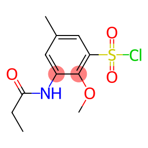 2-methoxy-5-methyl-3-propanamidobenzene-1-sulfonyl chloride