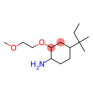 2-(2-methoxyethoxy)-4-(2-methylbutan-2-yl)cyclohexan-1-amine