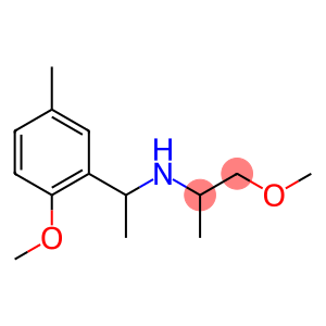 [1-(2-methoxy-5-methylphenyl)ethyl](1-methoxypropan-2-yl)amine
