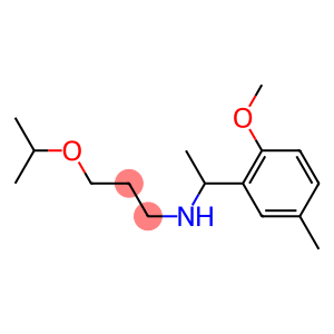 [1-(2-methoxy-5-methylphenyl)ethyl][3-(propan-2-yloxy)propyl]amine
