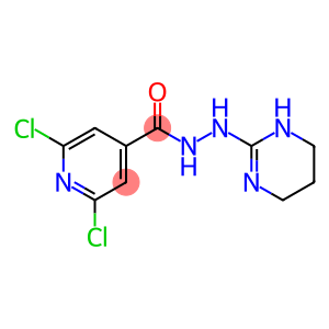 N'4-(1,4,5,6-TETRAHYDROPYRIMIDIN-2-YL)-2,6-DICHLOROPYRIDINE-4-CARBOHYDRAZIDE
