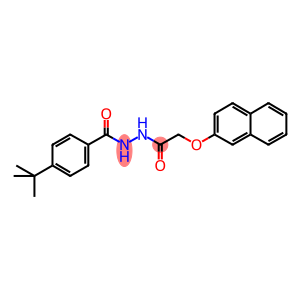 N'-(4-tert-butylbenzoyl)-2-(2-naphthyloxy)acetohydrazide
