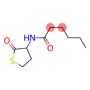 N-(2-oxotetrahydrothiophen-3-yl)hexanaMide