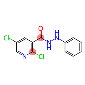 N'3-PHENYL-2,5-DICHLOROPYRIDINE-3-CARBOHYDRAZIDE