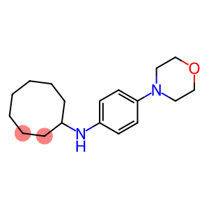 N-[4-(morpholin-4-yl)phenyl]cyclooctanamine