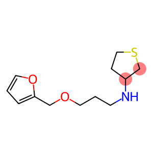 N-[3-(furan-2-ylmethoxy)propyl]thiolan-3-amine