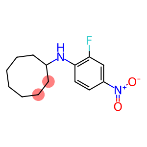 N-(2-fluoro-4-nitrophenyl)cyclooctanamine