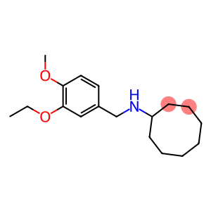 N-[(3-ethoxy-4-methoxyphenyl)methyl]cyclooctanamine