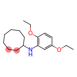N-(2,5-diethoxyphenyl)cyclooctanamine