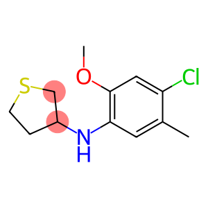 N-(4-chloro-2-methoxy-5-methylphenyl)thiolan-3-amine