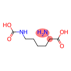 N6-Carboxy-L-lysine