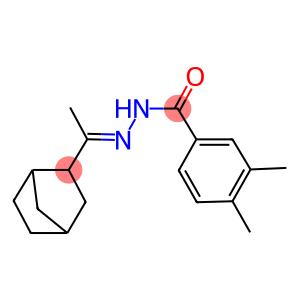 N'-(1-bicyclo[2.2.1]hept-2-ylethylidene)-3,4-dimethylbenzohydrazide