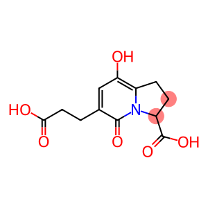 5-Oxo-6-(2-carboxyethyl)-8-hydroxy-1,2,3,5-tetrahydroindolizine-3-carboxylic acid