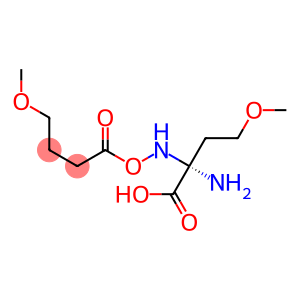 O-METHYL-L-HOMOSERINE, (S)-2-AMINO-4-METHOXYBUTYRIC ACID