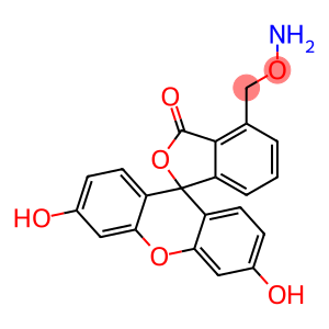 O-(fluoresceinylmethyl)hydroxylamine