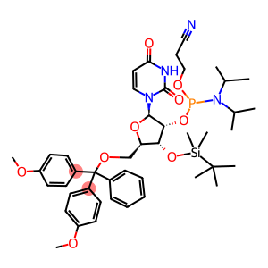 DMT-3'-TBDMS-URIDINE 亚磷酰胺单体