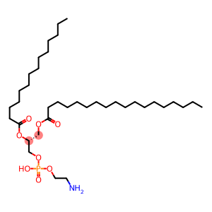 1-octadecanoyl-2-tetradecanoyl-sn-glycero-3-phosphoethanolamine