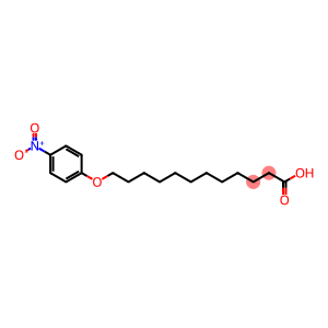p-nitrophenoxydodecanoic acid