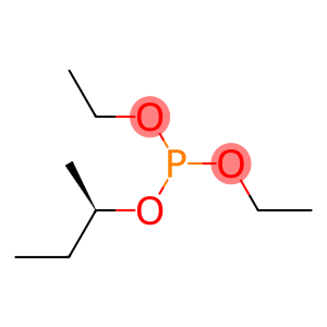 (-)-Phosphorous acid [(R)-sec-butyl]diethyl ester